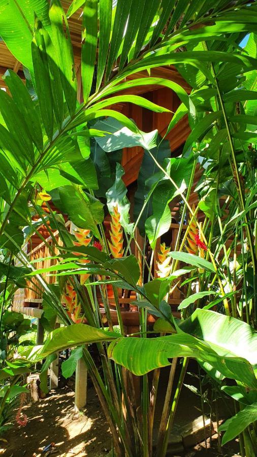 Arenal Rustic Lodge Alajuela Exterior foto
